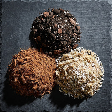Three heaps of cannabis growing medium on dark slate, seen from above: dark bagged potting soil with bark and white perlite at the top, pale reddish coco coir at lower left, and light tan peat heavily flecked with white perlite at lower right.