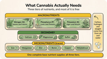 A field-guide map of the nutrients cannabis needs, grouped into three tiers - the macronutrients nitrogen, phosphorus and potassium, the secondary nutrients calcium, magnesium and sulfur, and the trace micronutrients.