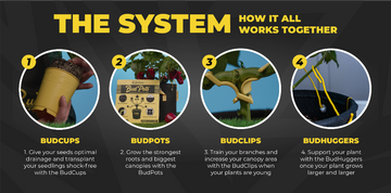 Diagram explaining a gardening system with four steps labeled BudCups, BudPots, BudClips, and BudHuggers.