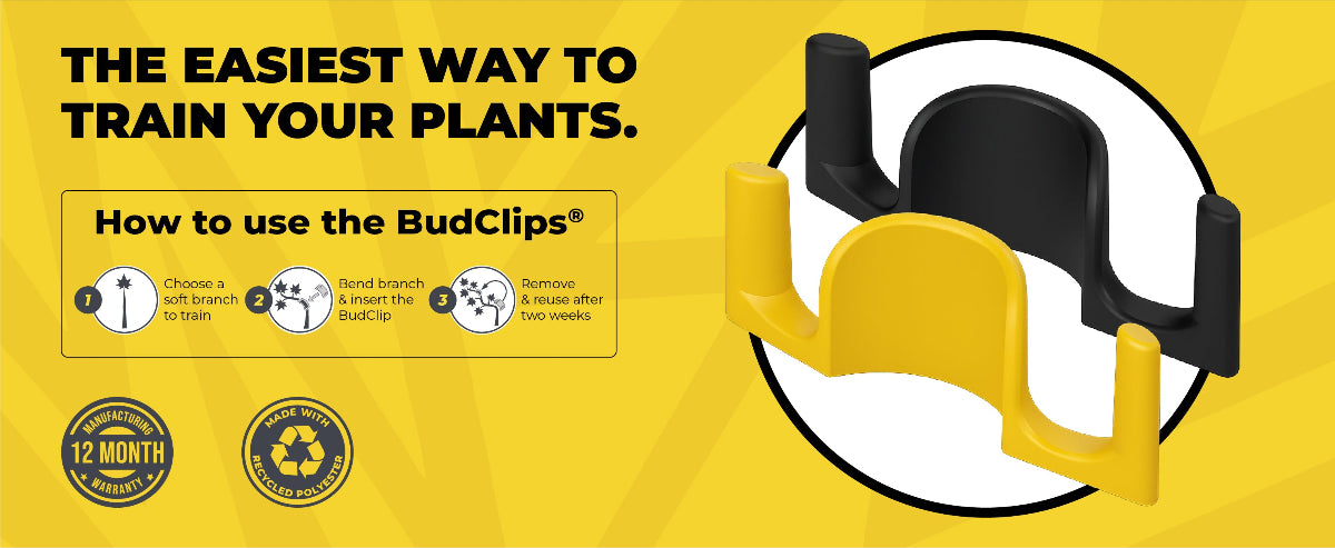 BudClips product on a yellow background with text about using the product.