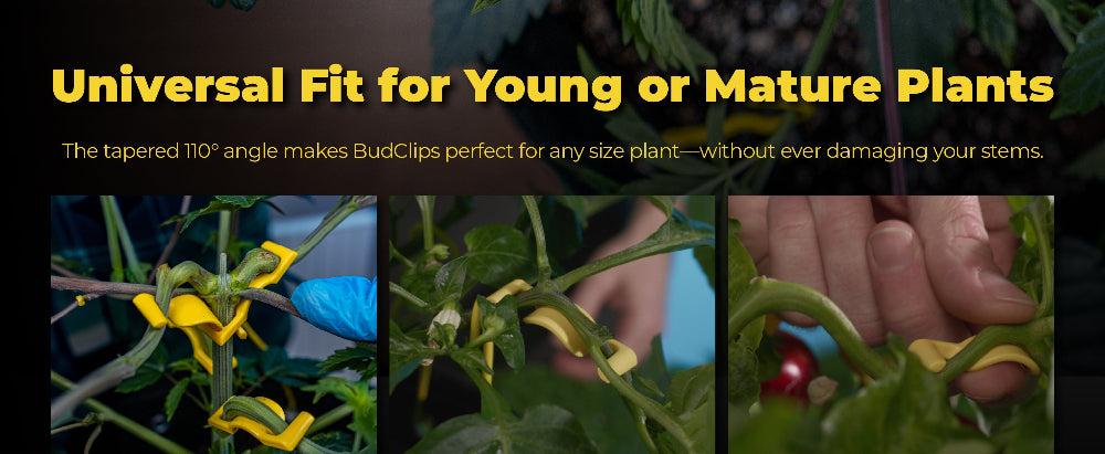 BudClips being used on plants with text about universal fit for young or mature plants.