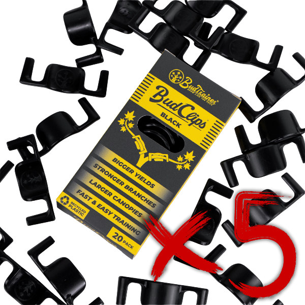 Bud Clips packaging with black clips on a white background