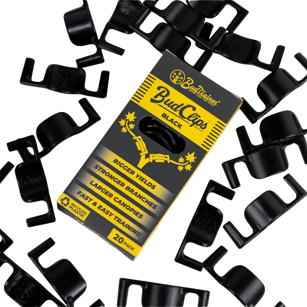 Bud Clips packaging with black clips on a white background