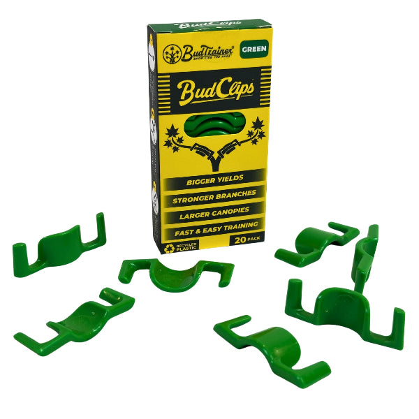 Green BudClips with packaging on a white background