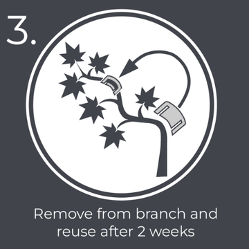 Step 3 - Diagram showing a branch with leaves and a BudClips with text indicating to remove from branch and reuse after 2 weeks.