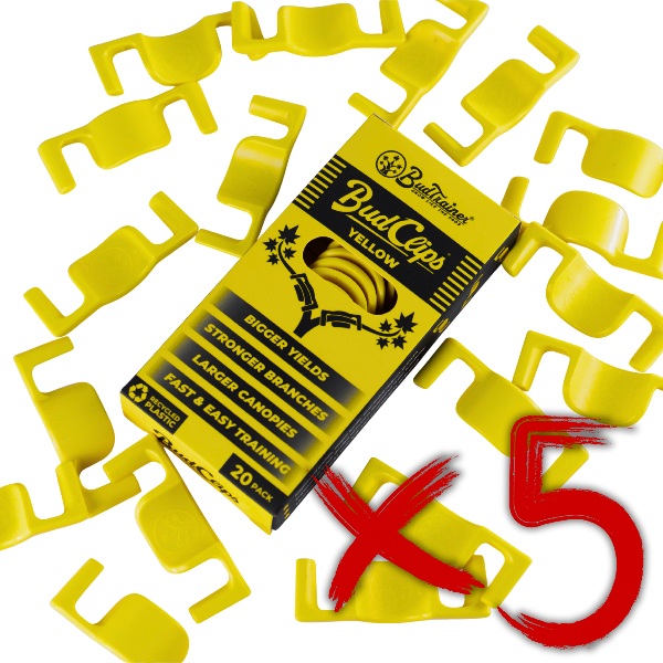 Yellow Bud Clips packaging with multiple clips on a white background