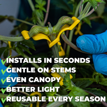 Hand wearing a blue glove using a yellow BudClip plant support clip on a plant with text describing its features.