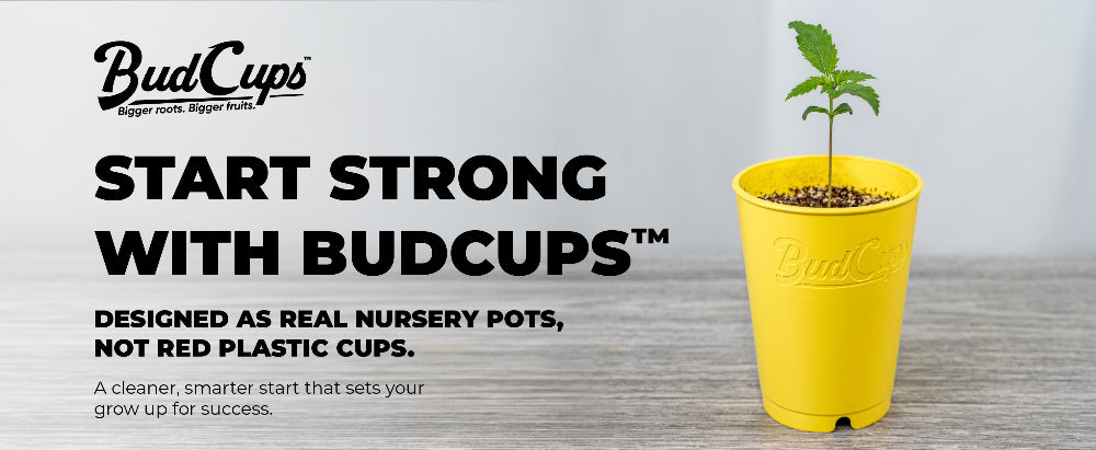 Yellow BudCups pot with a plant on a gray background, featuring text about the product.