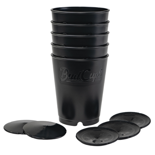 Set of 5 black BudCups with lids on a white background