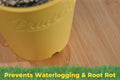 Yellow BudCups pot showing water drainage on bamboo surface to prevent waterlogging and root rot.