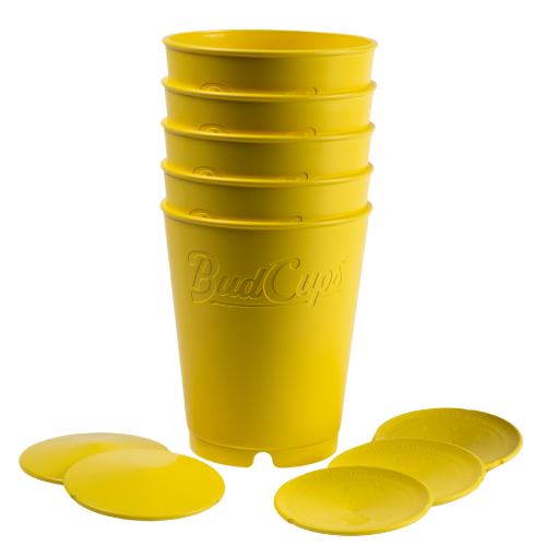 Stack of 5 yellow BudCups with bottom plates on a white background