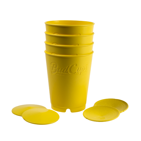 Yellow BudCups with bottom plates on a white background