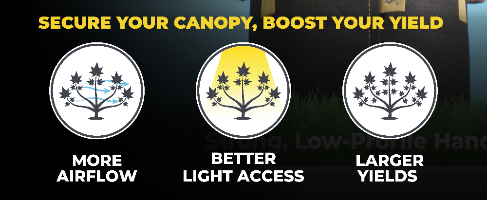 Promotional graphic for BudPots with tree icons and text about canopy management for better airflow, light access, and yields.