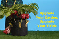 Healthy pepper plant with red peppers growing in a BudPots fabric grow bag using yellow BudHuggers plant ties, with text reading 'Upgrade Your Garden, Upgrade Your Yields'.
