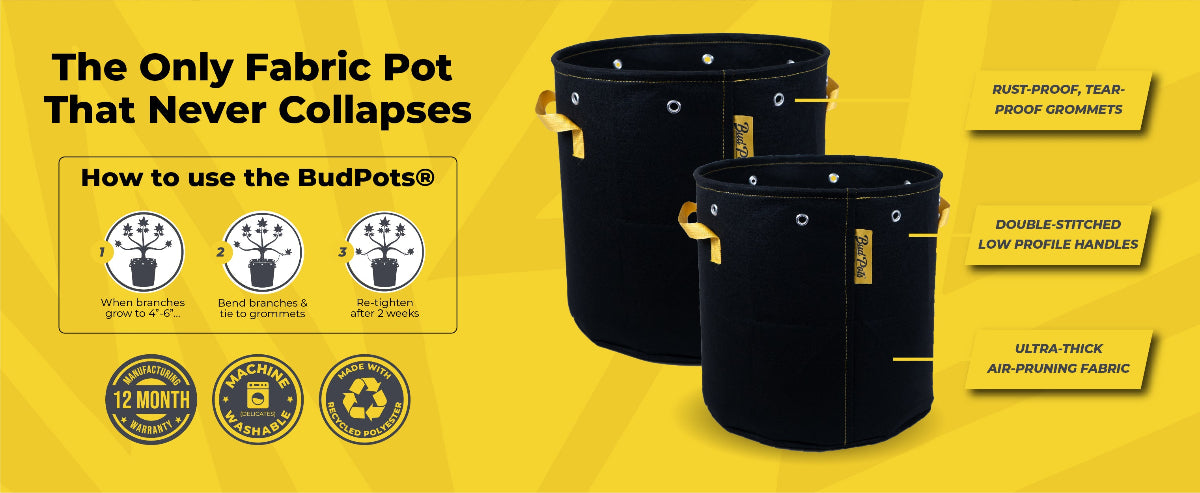 Black fabric pots with features and usage instructions on a yellow background