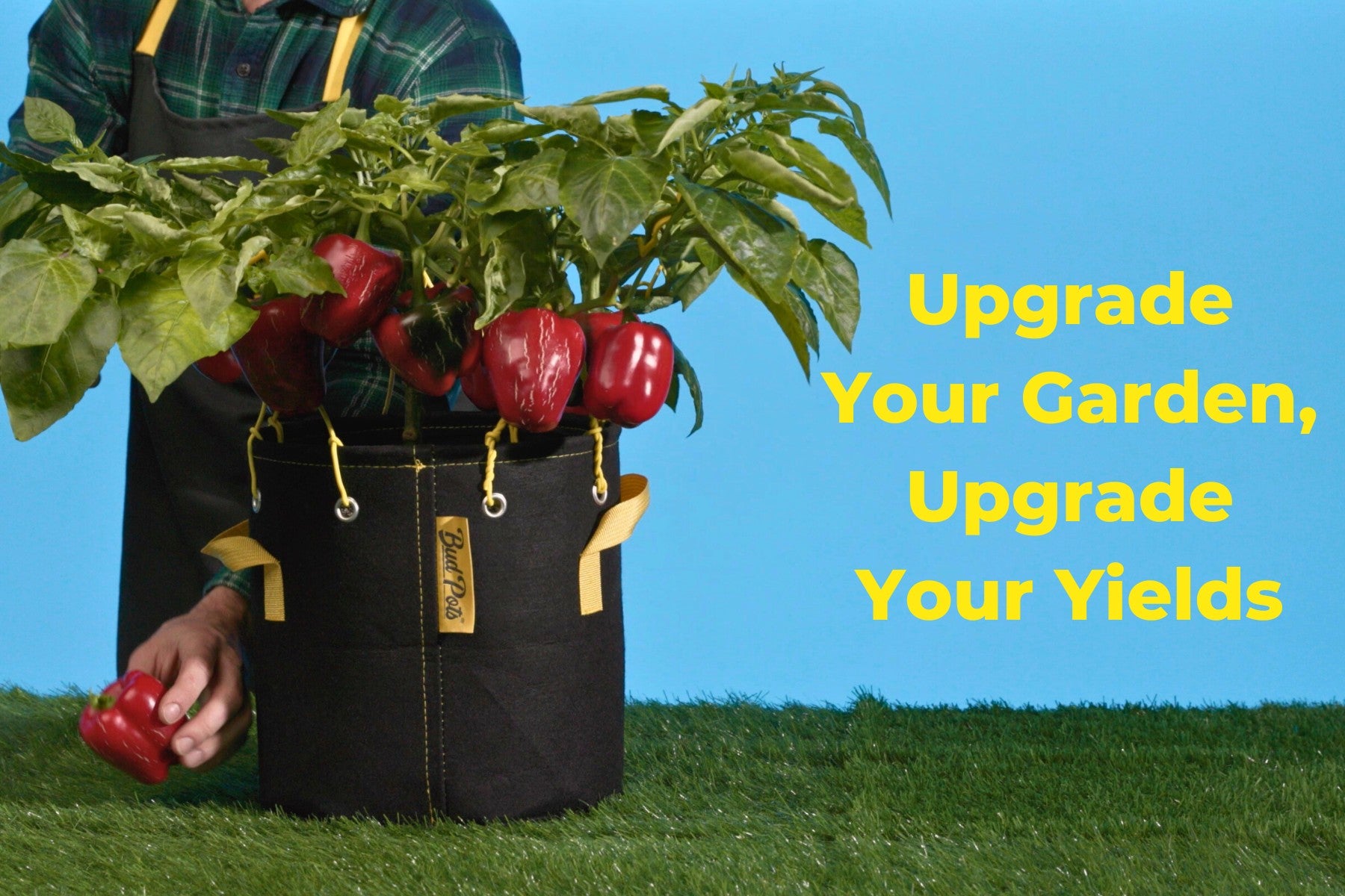 Lush pepper plant growing in a BudPot with vibrant red peppers, showcasing improved garden yields.