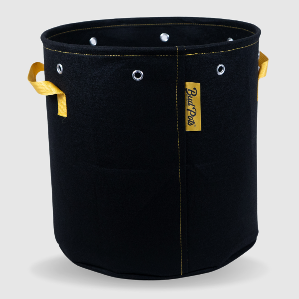 Black BudPots fabric pot 10Ga with yellow handles and a visible brand logo on a light gray background