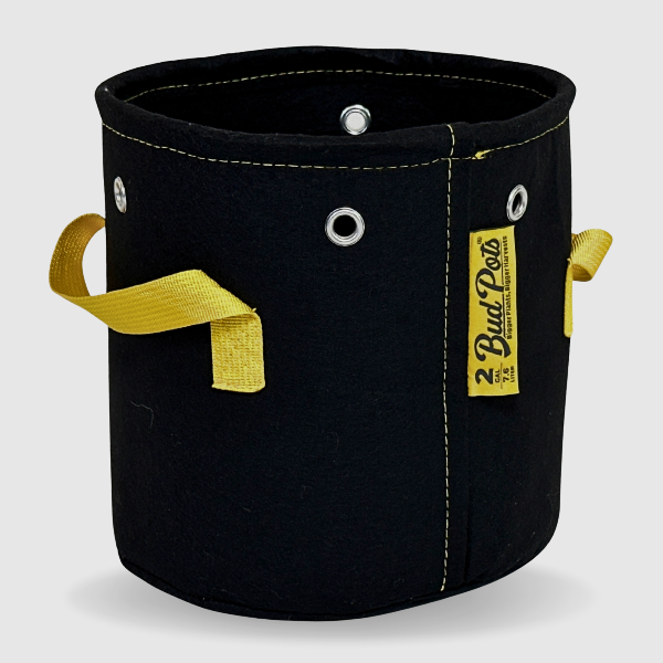 Black fabric pot, BudPots 2Ga, with yellow handles and a visible brand label on a white background