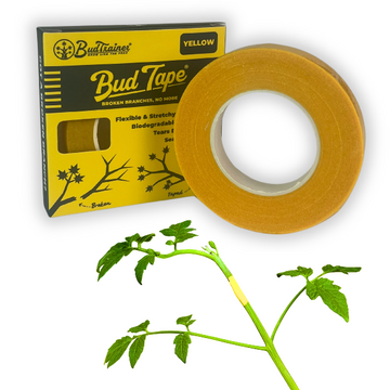 BudTape with packaging and a plant branch showing tape application.