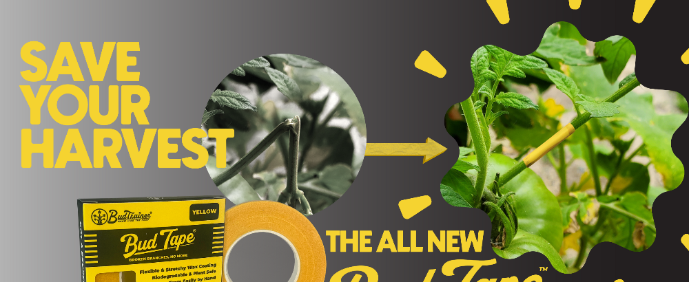 BudTape™ Branch Repair – BudTrainer