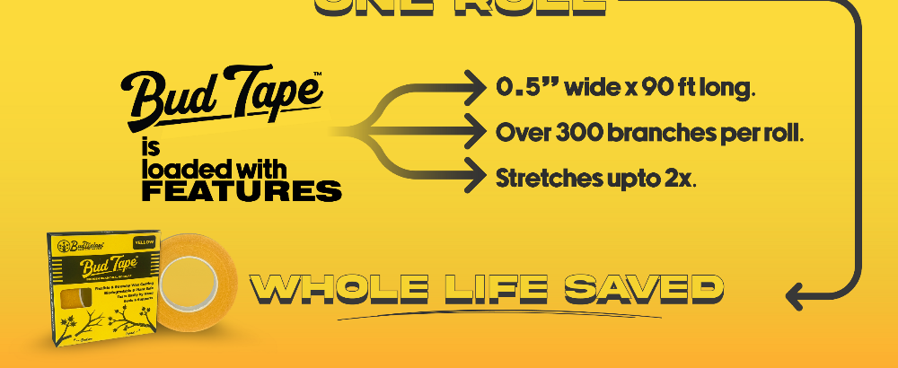 Advertisement for BudTape with product details on a yellow background