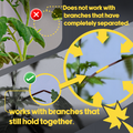 Diagram showing how a the BudTape system works with branches that broken but are still connected.