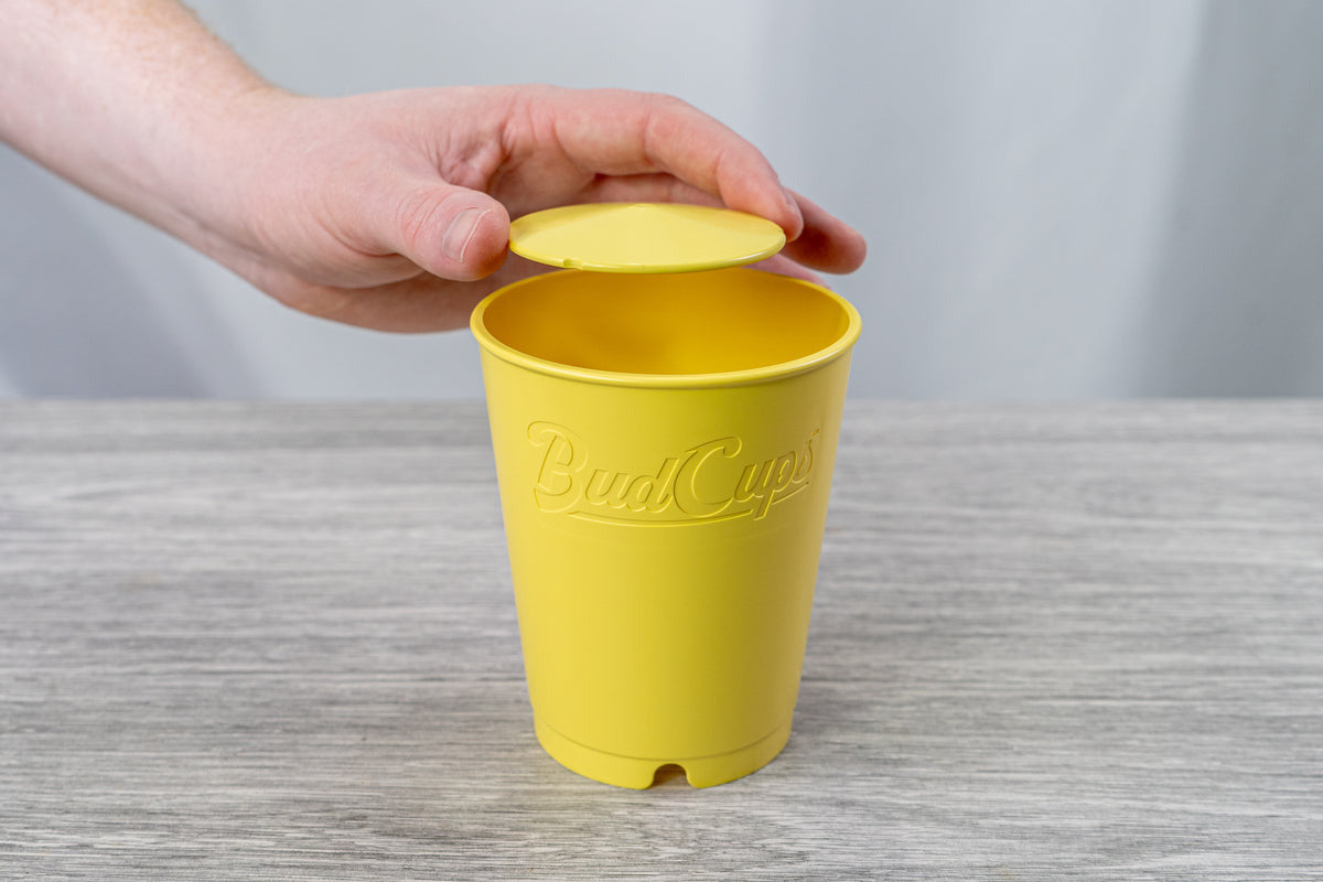 Hand placing BudTrainer BudCups bottom insert into yellow BudCups for better cannabis seedling aeration and drainage.