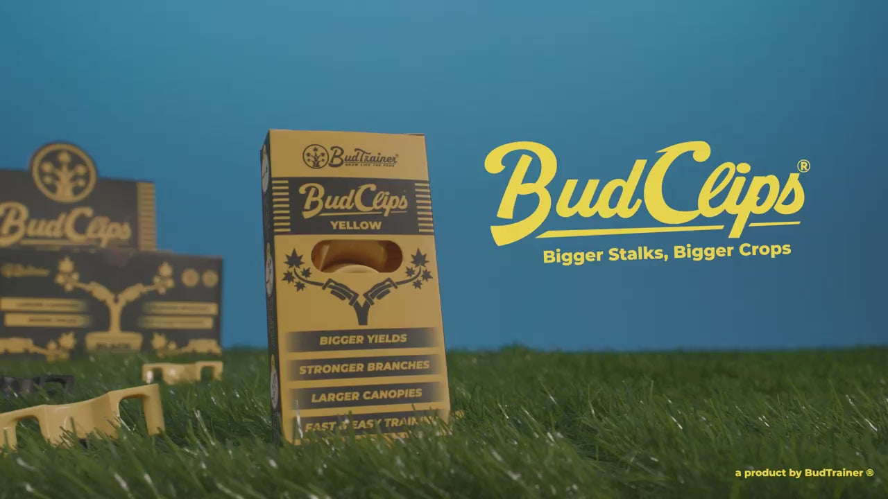 BudClips Product Video With Text